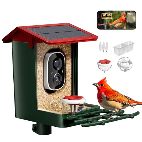 Smart Bird Feeder with Camera Solar Powered, 2K HD Video, AI Bird Species Identification, Instant Arrival Alerts, Weatherproof Design for Effortless Birdwatching, Best Gift for BirdLovers, Red - color: Green-Red