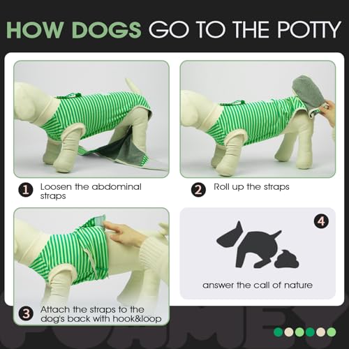 Dog Recovery Suit Male,Dogs Surgery Neuter Suits Puppy Spay Shirts for Female Protect Dog's Skin Anti Licking Abdominal Wounds Doggie Onesie Pet Bodysuit Alternative to Cone Green Stripes XS - color: Green Stripes, size: Xs(back:8.3-11.4in,wt:4-7lbs)