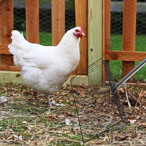 ibasenice Poultry Waste Scoop Sturdy Metal Litter Scoop with Long Handle Stainless Steel for Easy Cleaning of Manure in Backyard Farms and Chicken Coop for Farm and Home Use