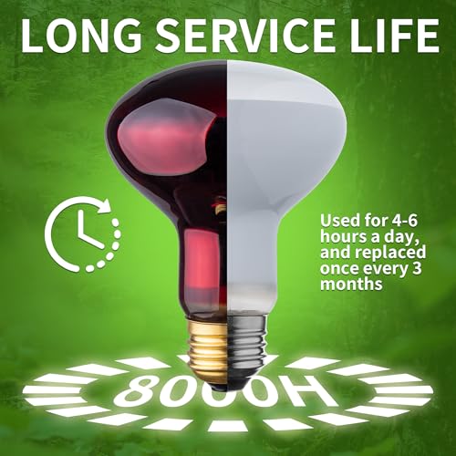 Heat lamp Bulbs Day & Night Combo, 100 Watt UVA Daylight Basking Spot Light and Red Infrared Heating Light for Bearded Dragon, Turtle, Lizard, Snake, Tortoise, Chameleon, Amphibians - 2 Pack - size: Red + White