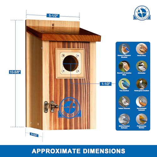 SISTERBIRD Premium Bluebird Houses for Outside, Bird Houses for Outside Suitable for Garden Decoration, Wooden Bird House, Blue Bird Houses for Outdoors Gift, Assembly Required - color: Light Toast & Copper-colored -- 1PK