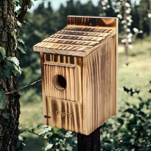 Bird Houses for Outside, Wooden Hanging Birdhouse with Easy Clean, Brown | Nesting Box for Small Wild Birds, Weather-Resistant Backyard Garden Decor, Decorative Outdoor Bird Nest by Oojami