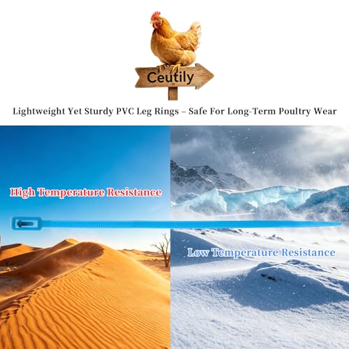 100 Pcs Chicken Leg Bands with 400 Charms, Adjustable for Poultry | 100 bands + 400 letter/number charms. 6 colors, adjustable 5.9". Durable snap-lock. Includes clipper. For poultry