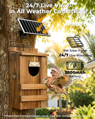 Screech Owl Nesting Box with Camera,Isolated Camera Bay,Owl House,Solar | 2.4G WiFi,2K HD,Night Vision Camera,Included Wood Shavings for Outdoor Yard Nesting,Solar Powered