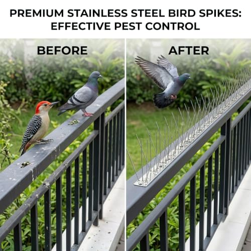 Bird Spikes 3.28FT, 304 Stainless Steel Bird Deterrents Spikes for Outside to Keep Birds Away Birds Scare Devices Outdoor 4Pcs - size: 3.28Feet