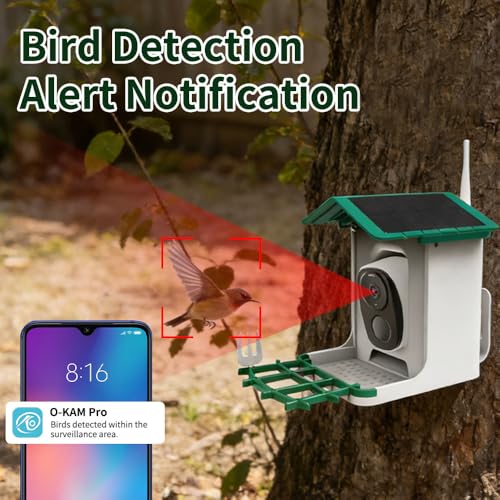 Smart Hanging Bird Feeder with Camera Solar Powered & AI Bi rd Identification, 2.4Ghz WiFi Bird feeders for Outdoors,2.1L Capacity, IP65 Waterproof,Mobile Remote Control,Full-ColorNight Vision