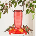 Glass Hummingbird Feeder, Hanging Type Glass Bird Feeder, Flower Bird Feeder disassemble 6 Bee-Proof Feeding Ports, 360° Perch, Leak-Proof 2026 New