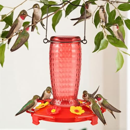 Glass Hummingbird Feeder, Hanging Type Glass Bird Feeder, Flower Bird Feeder disassemble 6 Bee-Proof Feeding Ports, 360° Perch, Leak-Proof 2026 New