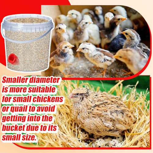 Teenyyou 20 Pack Quail Feeders No Waste Chicken Feeder Port DIY Chick Feed Saver Quail Supplies for Coturnix Small Poultry Farm Bucket Bin Container (1.5 Inch,Red) - color: Red, size: 1.5 Inch