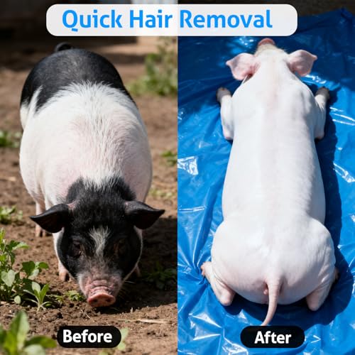 Stainless Steel Pig Hair Removal Tool - Electric Scraper for Livestock | 2 Pack Labor-Saving Scraper Disc, Dehairing Machine, Heavy-Duty Farm Hog Scraping Tool, for Pigs, Cattle, Sheep, Horses