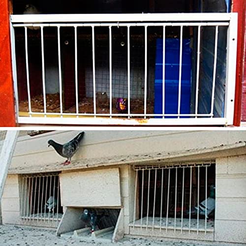 26cm(Tall) 40cm (Long) T-Trap for Pigeon Birds House Door Pigeon Birds House Door Pigeon coop for Sale Bird Cages Pigeon cage Supplier - size: 26x40cm