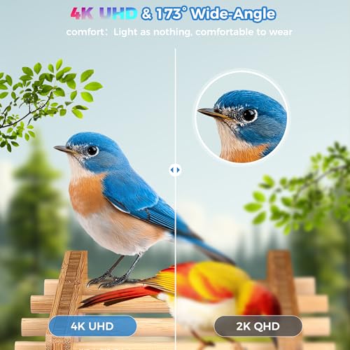 Bamboo Smart Bird Feeder 4K Camera AI ID Solar IP65 1.5L(L)