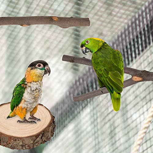 36 PCS Bird Perches Stand Toy, Natural Wood Parrot Perch Stand | Bird Cage Branches Platform Accessories for Parakeets Cockatiels Conures Macaws Finches Love Birds - color: 36Pcs