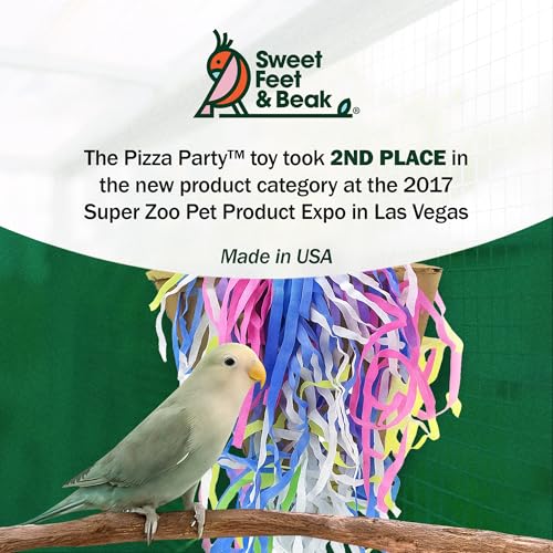 Sweet Feet and Beak Pizza Party Slice, 8" Bird Shredding and Foraging Toy | Food Grade Shred and Cardboard, Hanging Bird Toy with Nickel Chain and Quick Link. Hide Seeds, Pellets, or Treats, Bird-Safe