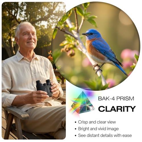 12x25 Compact Binoculars for Adults and Kids | Bird Watching, Travel, Cruise ship, Sport Games, Theater, Concerts, Hunting - color: Black, size: 12x25