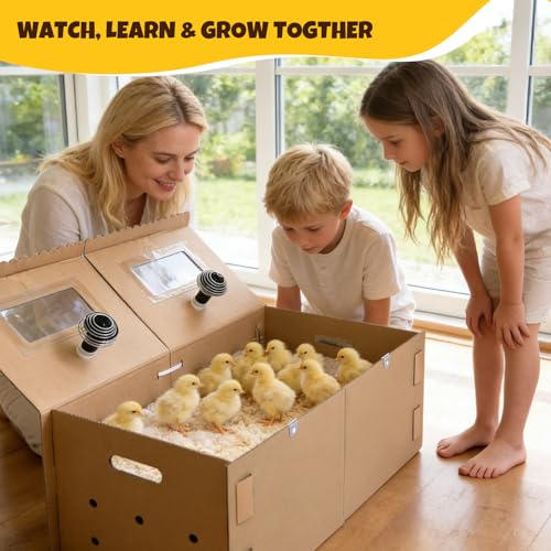 AsFrost 33" Extra Large Chick Brooder Box for 40 Chicks, Dual 75W No-Light Ceramic Heat Lamps, Adjustable Thermostat, 6 Waterproof Pads, Poultry Brooder for Quail, Rabbits & Reptiles