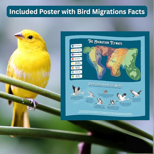 Ridley's Bird Lover’s 1000-piece Round Jigsaw Puzzle - Included Poster with Bird Migrations and Bird Facts for Bird Owners and Bird Lovers - color: Multicolor