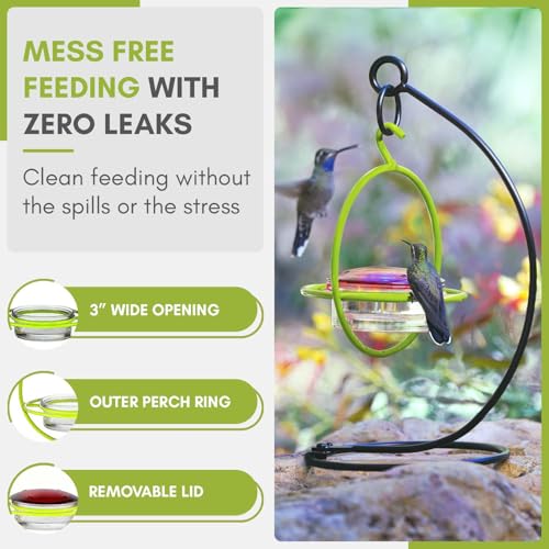 Hummingbird Feeder for Outdoors Hanging, 3.4 OZ Hummingbird Feeders, Glass Bowl with 4 Feeding Ports, Leak Proof Lid & Circular Perch, Bird Feeder (1, Lime) - color: Lime