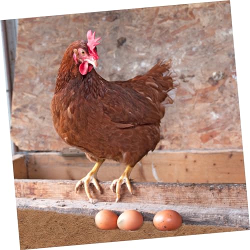 Coconut Palm Hatching Mat Coir Nesting Pad for Poultry Moisture Absorbent Coconut Fiber Strainer