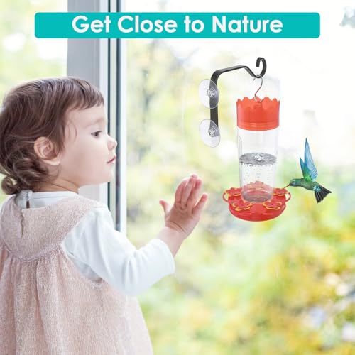 Heavy-Duty Window Suction Cup with Hanger, Window Mounted Wildlife, Hummingbird, Bird Feeders, Decorative Birdhouses, Wind Chimes & Plants, Strong Load-Bearing Hanging Hook (1)