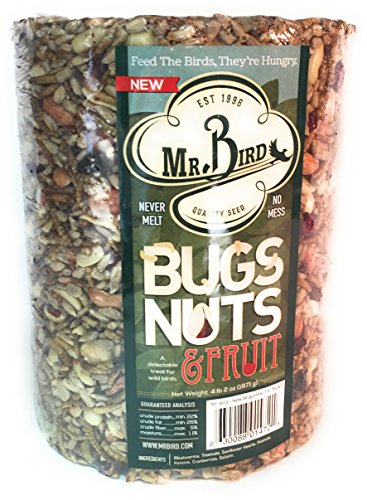 Mr. Bird Bugs, Nuts & Fruit Cylinder, 1-Pack, 4 lbs 2 oz | Wild Bird Seed For Outside Feeder | Premium Blend of Mealworms, Sunflower Hearts & Cranberries | No Mess, No Melt - size: 1 Pack