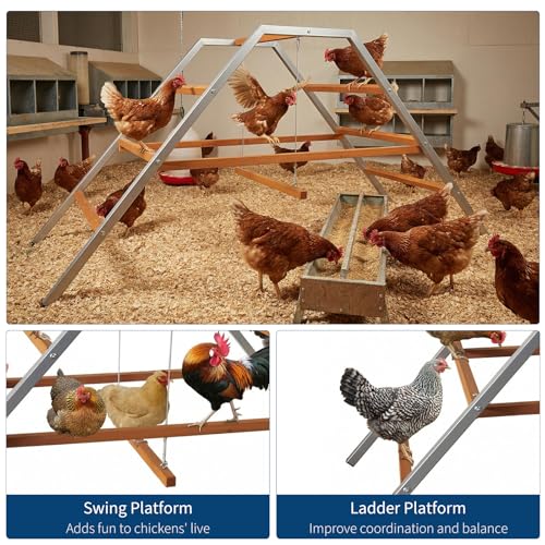 Garvee Chicken Perch with Swing, Chicken Roosting Bars for Healthy Poultry | Solid Wood Ladder & Rustproof Metal Frame for Chickens' Health and Happiness, Chicken Run Toys for Backyard Coops Farms