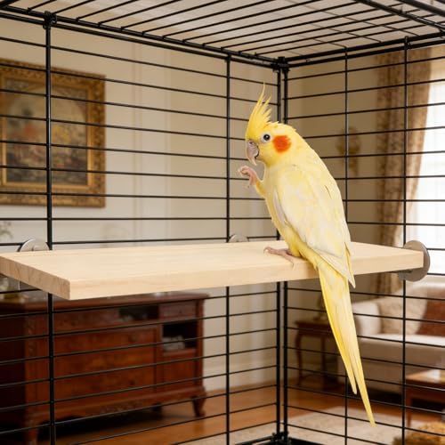 Wontee Bird Perch Stand Wooden Platform for Cockatiels Conures Rats Gerbils Chinchillas Squirrels (M) - size: M