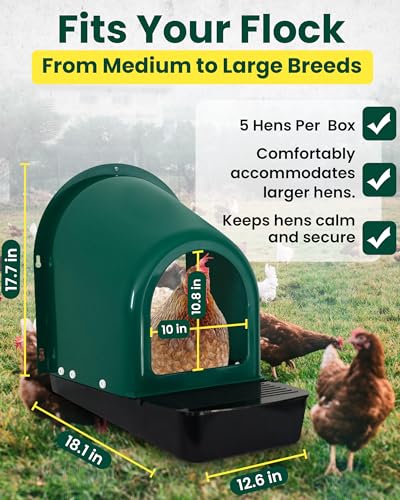 Roll-Out Chicken Nesting Boxes - 5-Pack Plastic Nest Boxes for Chickens, Hens & Ducks - Egg Laying Boxes with Perch and Roll Away Egg Collection for Coop - color: Chicken Nesting Box(5packs)