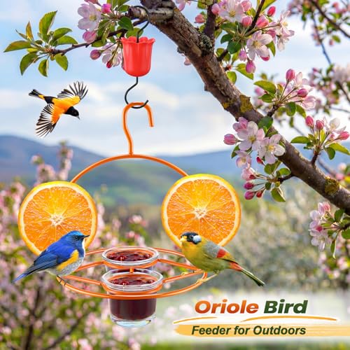 2 Pack Oriole Bird Feeder for Outdoors Jelly and Oranges, Hanging Oriole Feeder with Ant Moat & 2 Glass Cups & Cleaning Brush & Screwdriver, Metal Bird feeders for Outdoors for Jelly Nectar (2 Cups)