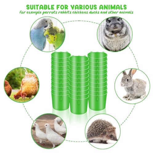 30 Pcs Chicken Coop Feeder Water Cup,8 oz Cage Cups Chicken Feeder Waterer, Cage Cups Birds Hanging Feeders, Chicken Feeder Water Bowl for Parakeet Poultry Pigeon Bunny Wire Cage(Green) - color: Green, size: 8oz