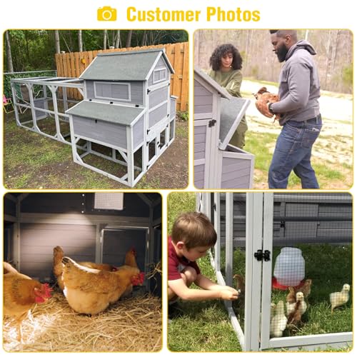Aivituvin Extra Large Chicken Coop for 8-12 Chickens, Reinforced Outdoor Wooden Hen House with Run, 6 Nesting Boxes, Easy Clean Pull-Out Tray, Waterproof Asphalt Roof - Grey, 134.5"L x 33.5"W x 62.4"H - size: 134.5"L x 33.5"W x 62.4"H