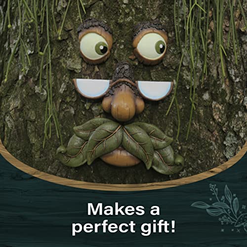 Tree Faces Decor - Outdoor Yard Art Garden Decoration - Unique Peeker for Outdoors and Indoors - Old Man Tree Hugger Art - style: Tree Face Glow in the Dark