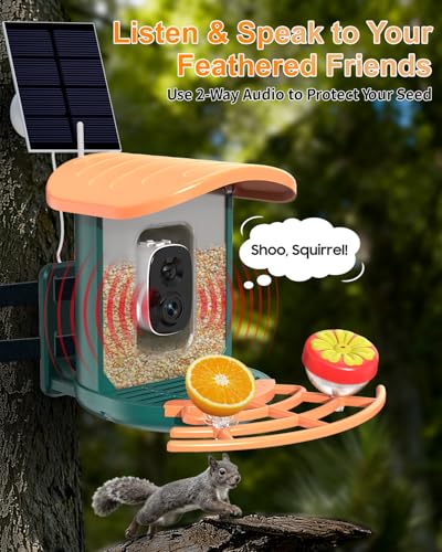 Bird Feeder with Camera, 2K HD Camera Birds Feeder with AI Bird Recognition, Solar Powered Smart Birdfeeder with App Control, Color Night Vision, Gift Box Package, Easy Install & Family Sharing - color: Dark Green, size: Stand