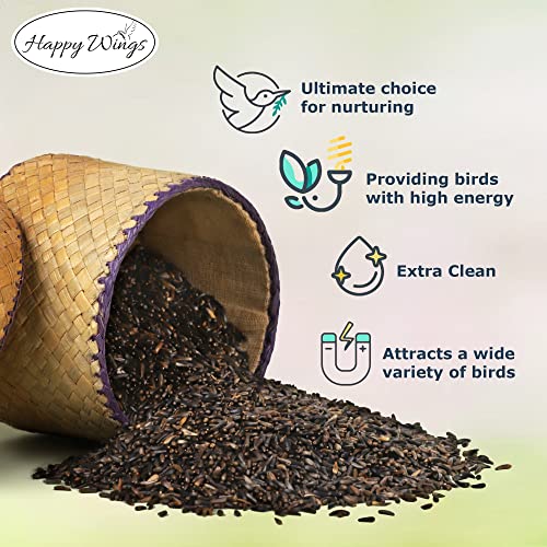 Happy Wings 13Oz Thistle Seed (Nyjer) Bird Food Prefilled Sock, No Grow | Oil Rich, High Fat & Energy Content, Single Grain, USDA & BRC-GS Approved, Finches, Sparrows, Chickadees, Cardinals, No Mess - size: 13 Ounce (Pack of 1)