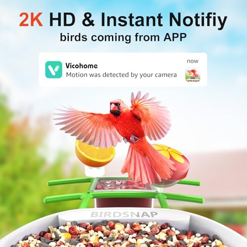 birdsnap® PAV Bird Feeder with Camera Solar Powered 2K Live Video 64GB Card | AI Bird Species Identification, Instant Arrival Alerts, IP65 Waterproof, Wild Bird Feeders for Outdoors, Gift for Bird Lovers - color: Green
