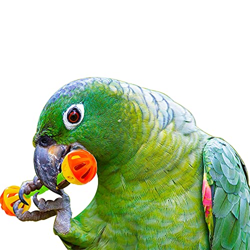 DQITJ 4 Pack Bird Barbell Dumbell Foot Toy for Small Bird Parrot Green Cheek Parakeet Cockatiel Conure Love Birds