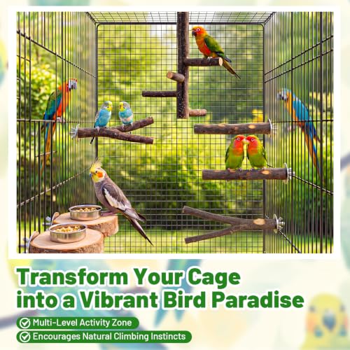 Novabright 6 Pack Natural Wood Bird for Cage Perches Wooden Parrot Stand with Fork Toys Hanging Multi Branch Platform Hanging Grapevine Parrot Perch for Parakeets Budgies Pet Bird Accessories
