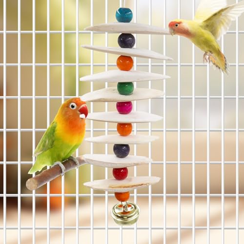 2 Pack Bird Toys with Cuttlebone, Parakeet Toys, Bird Beak Grinding Stone, Cage Accessories for Parakeets, Cuttlefish Bone for Budgies, Cockatiels, Lovebirds, Green Cheeks, Small to Medium Birds - size: Large