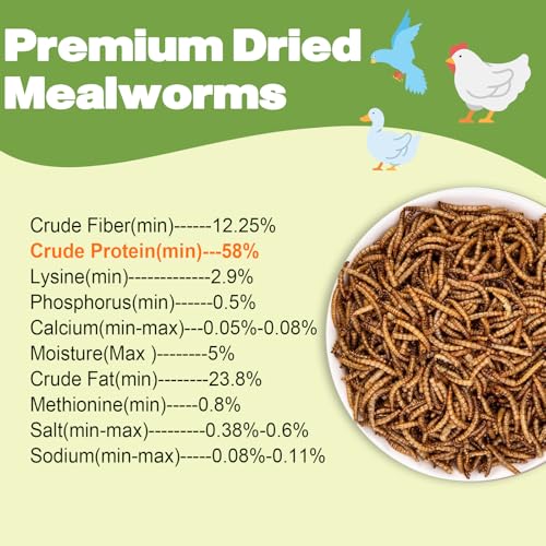 5LB Dried Mealworms for Chickens, Laying Hens, Ducks & Wild Birds | 100% Natural Non-GMO Whole Mealworms, Supports Feather Health & Molting, Resealable Bulk Bag for Daily Flock Feeding