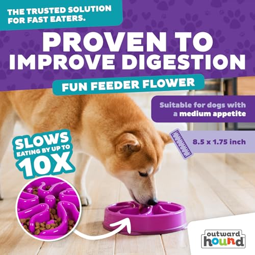 Outward Hound Fun Feeder Slo Bowl – Medium 2‑Cup Capacity,Slow Feeding,Small to Medium Dogs & Cats,Non-Slip,Purple,Flower Pattern,(Pack of 12) - color: Purple, size: Medium (Pack of 12)
