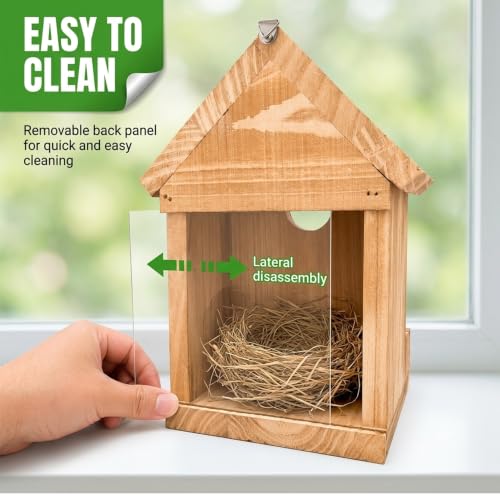 Window Bird House for Outside, Wooden Birdhouse with Vacuum Suction Cup, Clear Viewing Back, Built-in Feeder Attracts More Birds, Hang on Windows or Trees, Easy-Clean Nest Box - color: Back