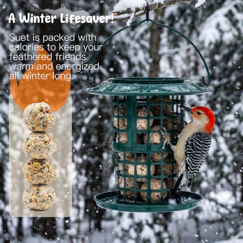 KOL Metal Suet Ball Feeder for Birds – Single-Layer Expandable Design Suet Bird Feeder, Heavy-Duty Wild Bird Feeder with Secure Lid, Large Capacity for Backyard (Jasper) - color: Jasper