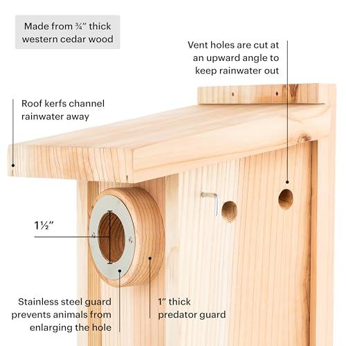 WHITEHORSE Bluebird House - Weatherproof Bird House for Outdoors - Cedar Birdhouse Built to NABS Specs - Nest Box for Bluebirds, Chickadees, Titmice, Wrens, Nuthatches & More (15” Floor)