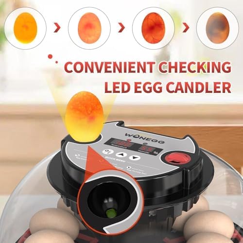 Nest II - 12 Egg Incubator for Beginners, Multi-Level Adaptive Humidity (Auto-Refill & Dual-Bottle) & Stable Temp Control, Auto Egg Turning, Real-Time Display, Candler for Hatching Poultry Eggs - size: 12 Egg [Black&Red]