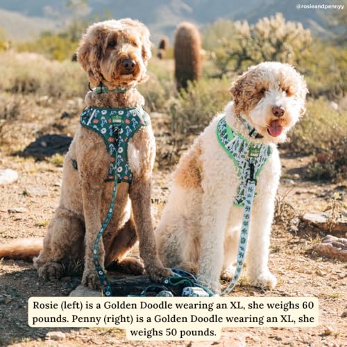 Lucy & Co. x Parks Project Feel the Earth Breath Dog Leash, Durable Matching Dog Lead with Heavy Duty Hardware, Small - color: Feel the Earth Breath, size: Small
