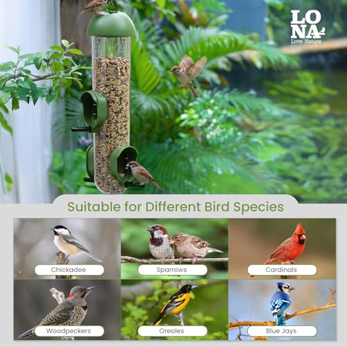 ‌LONA 2 Pack Tube Bird Feeders, Weatherproof Design with 3 Feeding Ports | Easy-fill Top Design, 2 Ways for Hanging, Suits Mixed Seeds, Squirrel-Proof Bird Feeder for Backyard/ Garden/ Patio, Green - size: 3 Ports ×2