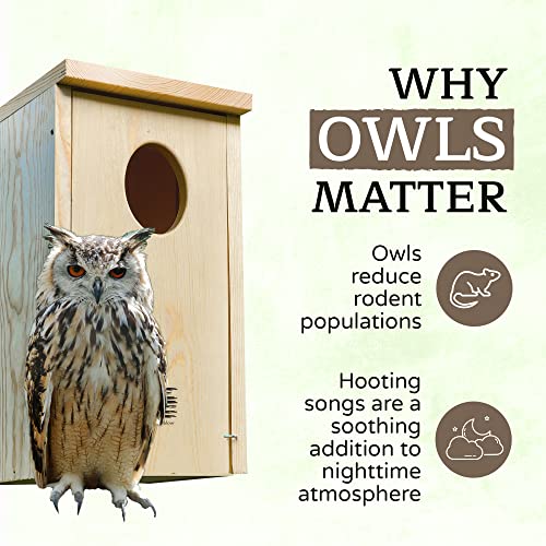 Made in USA, Wood Owl House with Oval Opening, Kestrel Bird Houses for Outside, Easy-to-Install Nesting Boxes for Screech, Boreal, Northern Saw Whet Owls, and American Kestrels - Applewood Outdoor
