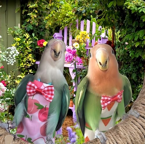 2 Pcs Bird Diapers Bird Harness Flight Suits Diapers with 80in Flying Leash Reusable Parrot Nappy with Waterproof Inner Layer for Cockatiel Budgie Conure Parakeet Lovebird-Apple&Pineapple