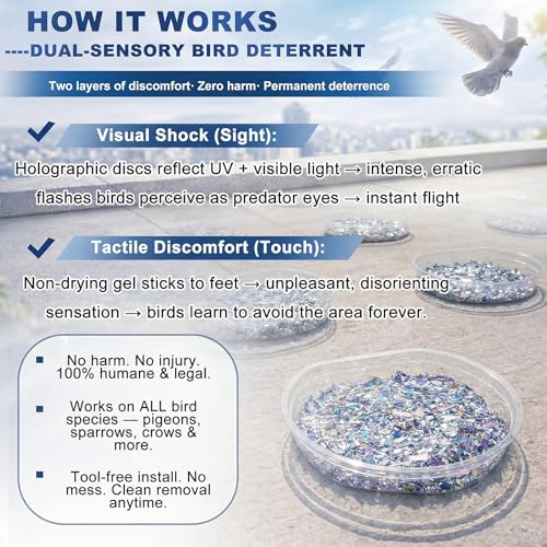 Qinyoung 100 Pack Bird Repellent Gel Trays (Gel Not Included) Clear PET Plastic Dishes with Holographic Reflectors for Outdoor Bird Deterrent, No Mess Application for Roof, Ledges, Beams, Signs
