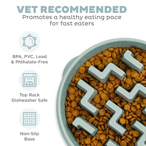 Outward Hound Fun Feeder Slo Bowl – Large 4‑Cup Capacity, Slow Feeding, Medium to Large Dogs, Non‑Slip, Sage, Notch Pattern - color: Sage, size: Large